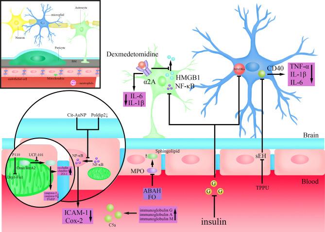 https://cdn.ncbi.nlm.nih.gov/pmc/blobs/799c/8599158/bd6ef2e0d72c/fcimb-11-768108-g002.jpg