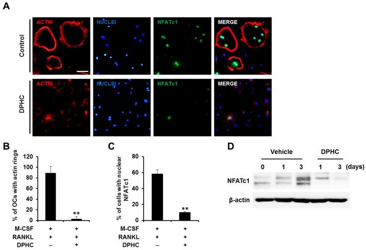 https://cdn.ncbi.nlm.nih.gov/pmc/blobs/799d/5751238/6ea33c4c752e/ijms-18-02635-g003.jpg