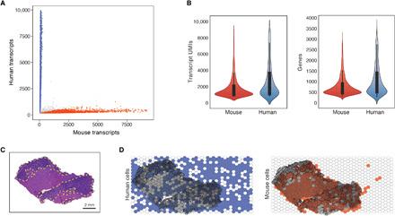 https://cdn.ncbi.nlm.nih.gov/pmc/blobs/79a0/8059935/91b4bad7f375/abg4755-F2.jpg