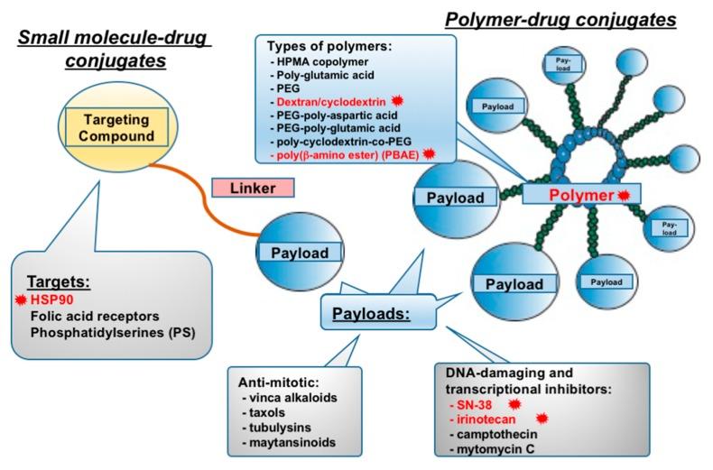 https://cdn.ncbi.nlm.nih.gov/pmc/blobs/79a1/6769513/8729f73e6c18/cancers-11-01297-g002.jpg