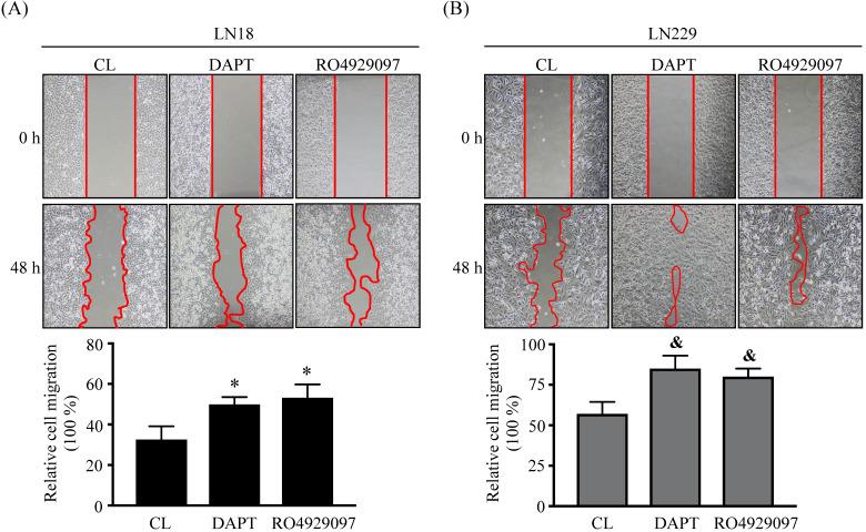 https://cdn.ncbi.nlm.nih.gov/pmc/blobs/79a3/8176174/da5b243a8c33/ijmsv18p2551g003.jpg