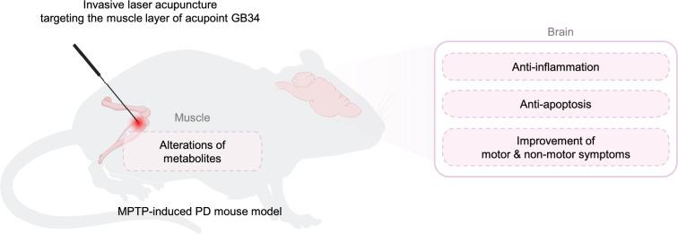 https://cdn.ncbi.nlm.nih.gov/pmc/blobs/79a4/12057028/0dc6d15688c7/13020_2025_1104_Fig6_HTML.jpg