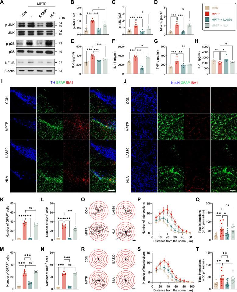 https://cdn.ncbi.nlm.nih.gov/pmc/blobs/79a4/12057028/467fd6279479/13020_2025_1104_Fig3_HTML.jpg