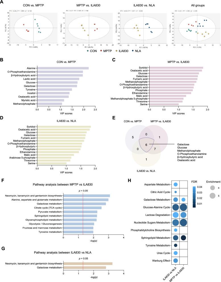 https://cdn.ncbi.nlm.nih.gov/pmc/blobs/79a4/12057028/63365cf80cf4/13020_2025_1104_Fig4_HTML.jpg