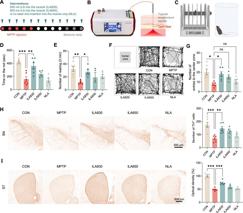 https://cdn.ncbi.nlm.nih.gov/pmc/blobs/79a4/12057028/88da73e6befb/13020_2025_1104_Fig1_HTML.jpg