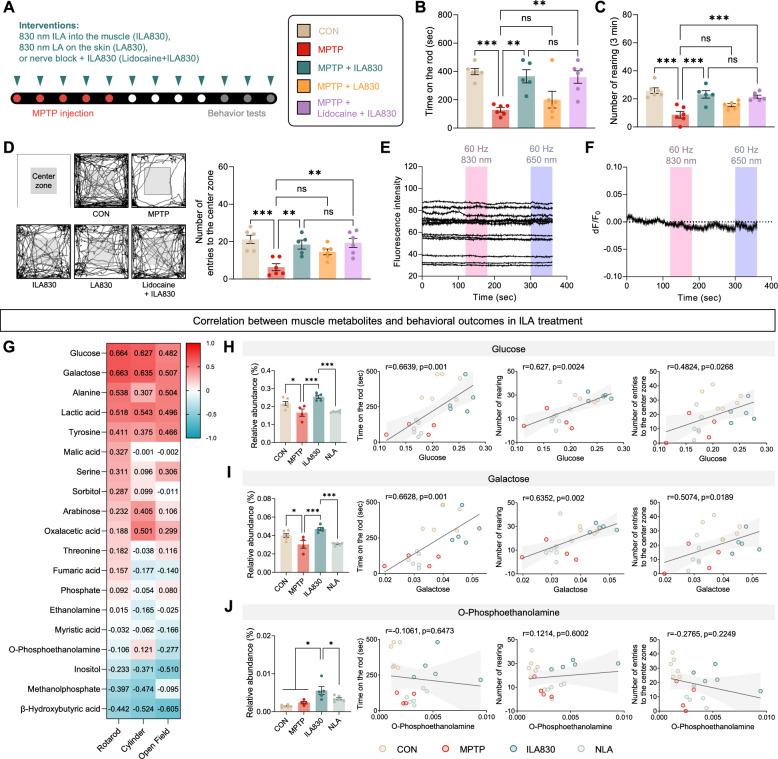 https://cdn.ncbi.nlm.nih.gov/pmc/blobs/79a4/12057028/f3af4c446659/13020_2025_1104_Fig5_HTML.jpg