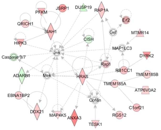 https://cdn.ncbi.nlm.nih.gov/pmc/blobs/79a4/5542661/6fcd18483981/pone.0181308.g001.jpg