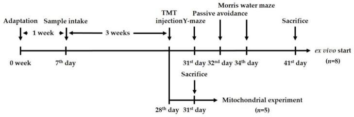 https://cdn.ncbi.nlm.nih.gov/pmc/blobs/79a4/5983595/600801783e55/ijms-19-01499-g010.jpg