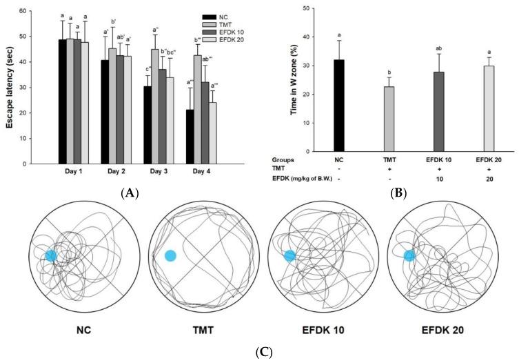 https://cdn.ncbi.nlm.nih.gov/pmc/blobs/79a4/5983595/a21cf927db29/ijms-19-01499-g004.jpg