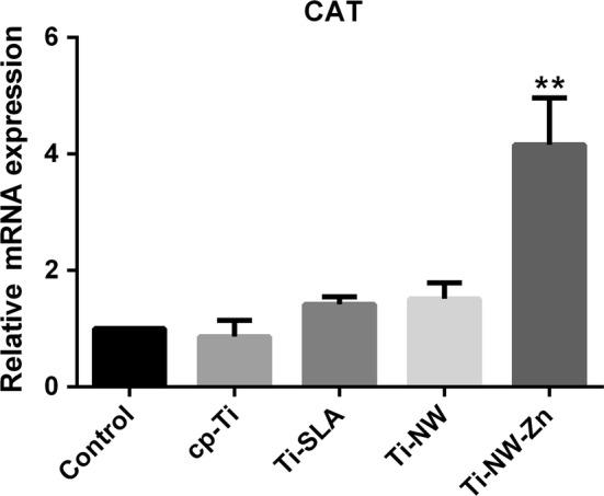 https://cdn.ncbi.nlm.nih.gov/pmc/blobs/79a5/6466780/d05831273648/12951_2019_488_Fig10_HTML.jpg