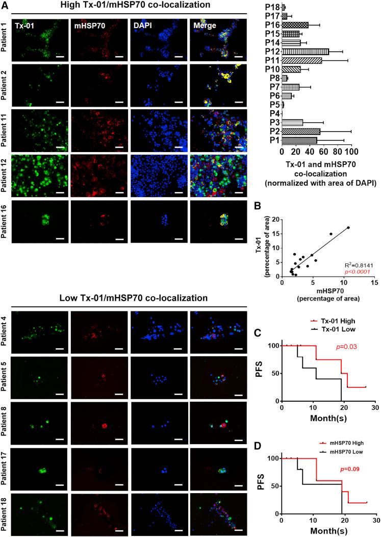 https://cdn.ncbi.nlm.nih.gov/pmc/blobs/79a5/7868721/c85d1df71ae2/gr4.jpg