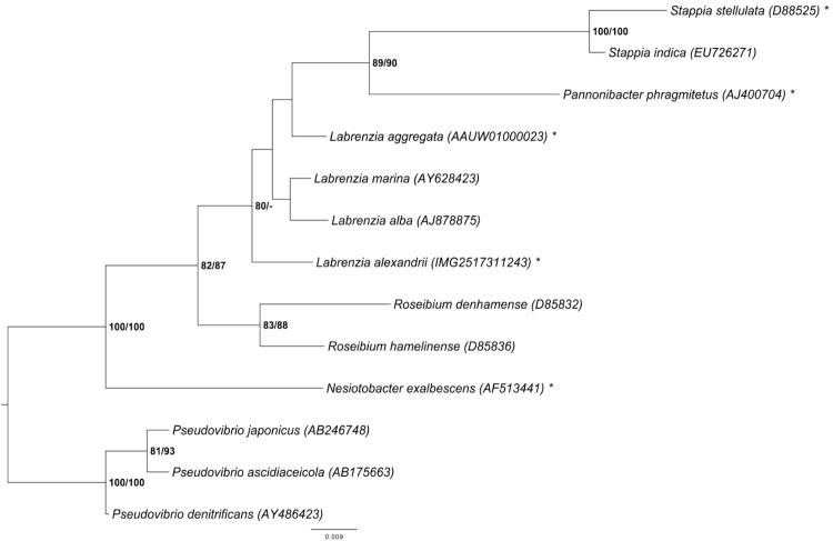 https://cdn.ncbi.nlm.nih.gov/pmc/blobs/79a6/3764935/4a7d2443449d/sigs.3456959-f1.jpg