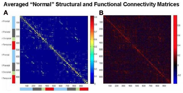 https://cdn.ncbi.nlm.nih.gov/pmc/blobs/79a6/3822330/c85cbe4db52e/fnhum-07-00649-g0002.jpg