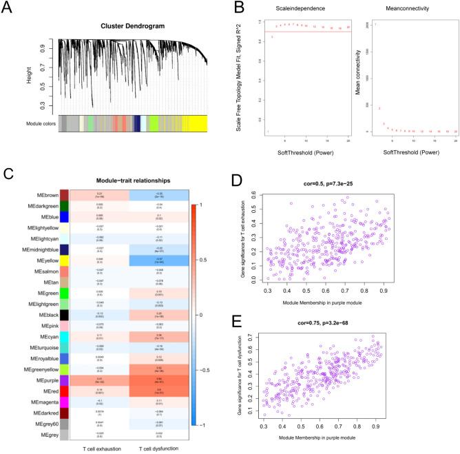 https://cdn.ncbi.nlm.nih.gov/pmc/blobs/79a7/10435542/d3acb3c99735/41598_2023_40662_Fig1_HTML.jpg