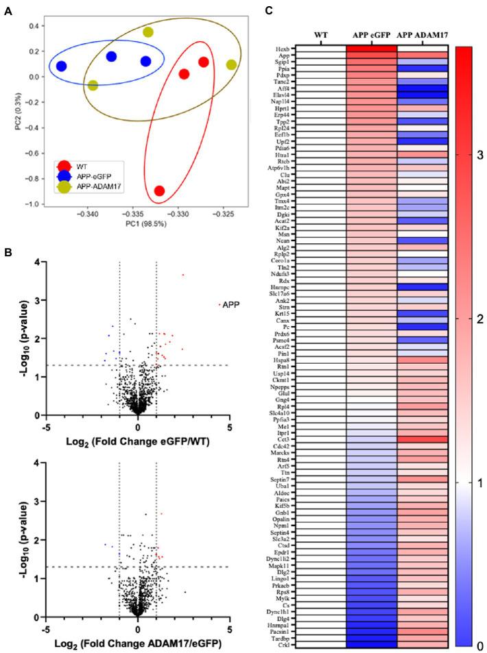 https://cdn.ncbi.nlm.nih.gov/pmc/blobs/79a8/10018024/5dcdeaa87555/fnmol-16-1125932-g008.jpg