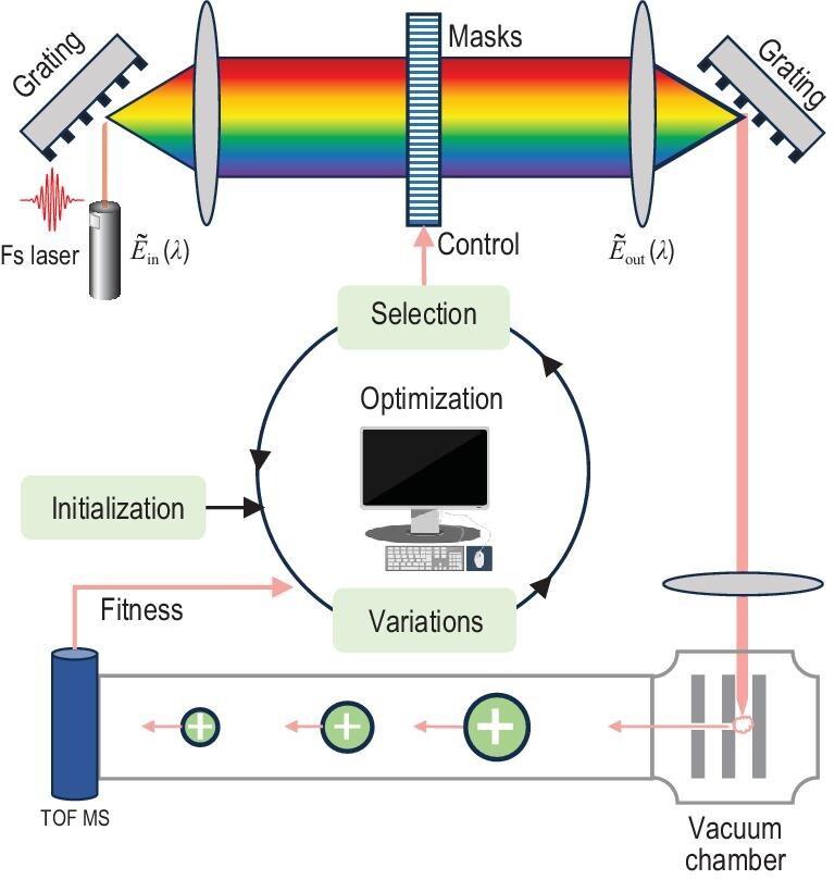 https://cdn.ncbi.nlm.nih.gov/pmc/blobs/79aa/12371192/0e9dc1a0694e/nwaf269fig6.jpg