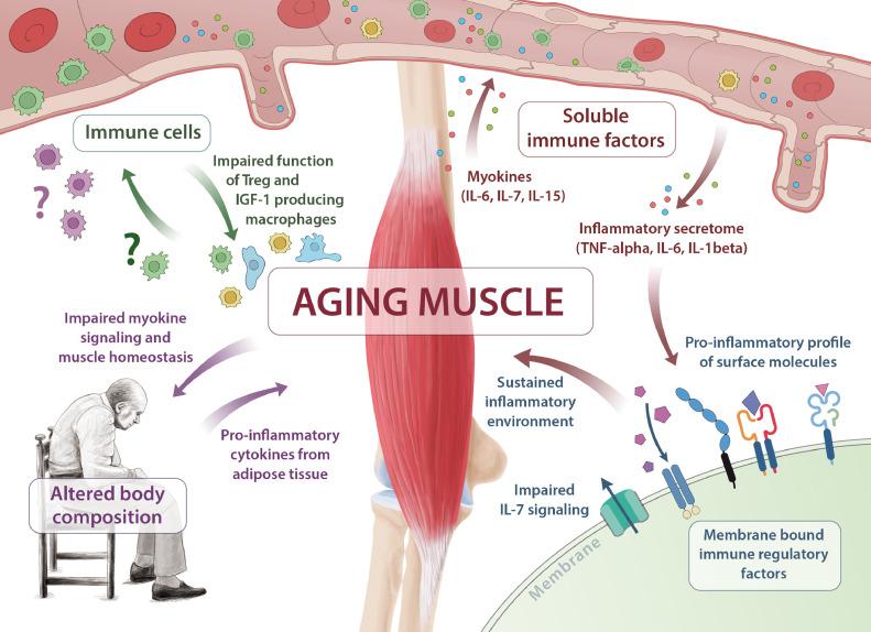 https://cdn.ncbi.nlm.nih.gov/pmc/blobs/79ab/6945275/a518ddf4d6e1/gr1.jpg