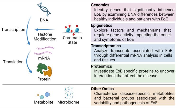 https://cdn.ncbi.nlm.nih.gov/pmc/blobs/79ac/11496339/aec2f3f3c85b/535_2024_2151_Fig1_HTML.jpg