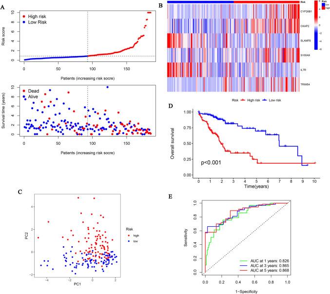 https://cdn.ncbi.nlm.nih.gov/pmc/blobs/79ac/11825605/1e2582c09762/12026_2025_9603_Fig3_HTML.jpg