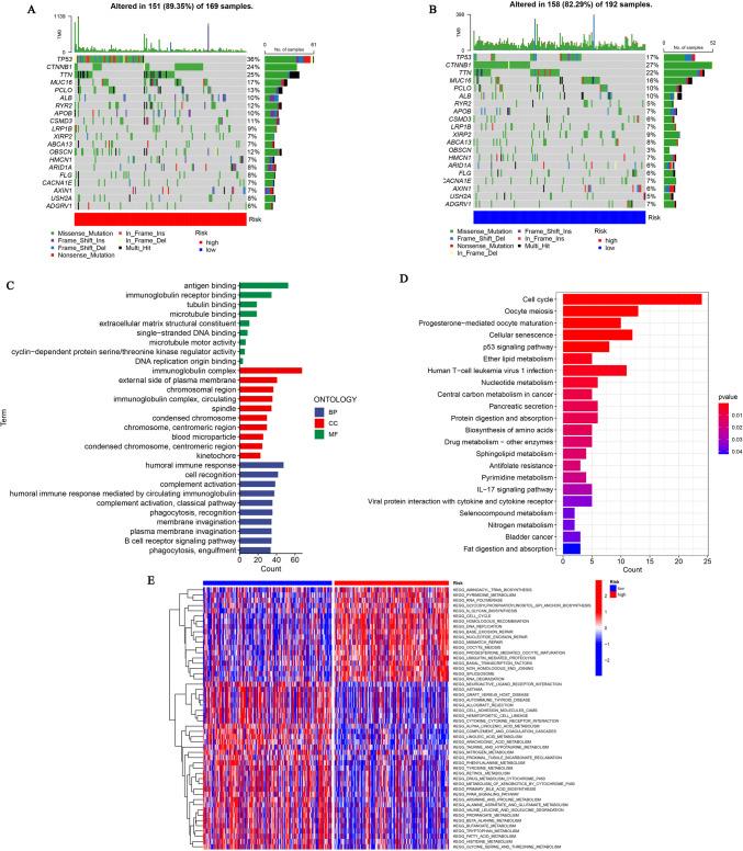 https://cdn.ncbi.nlm.nih.gov/pmc/blobs/79ac/11825605/ce79b4d1413a/12026_2025_9603_Fig9_HTML.jpg