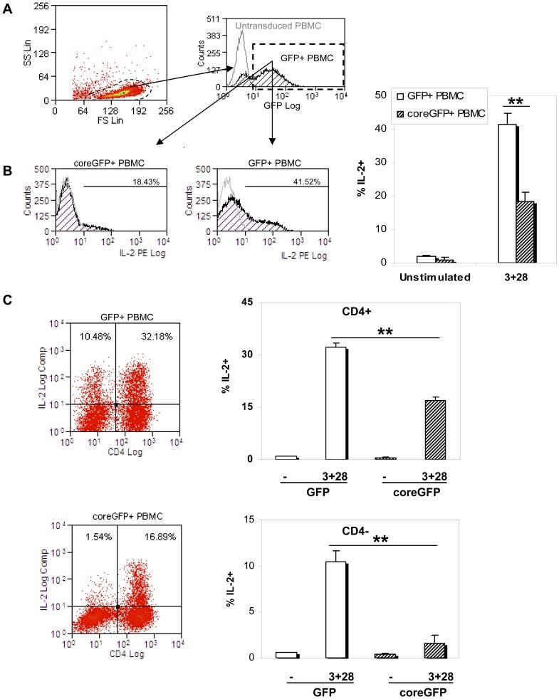 https://cdn.ncbi.nlm.nih.gov/pmc/blobs/79ac/3896374/c3aff51ac7e0/pone.0085191.g001.jpg