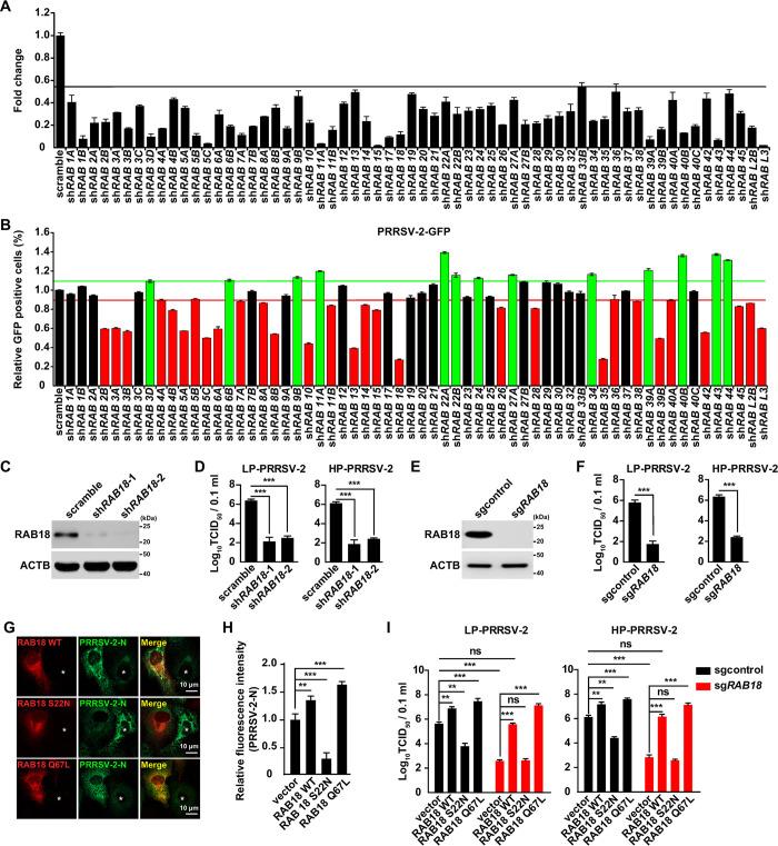 https://cdn.ncbi.nlm.nih.gov/pmc/blobs/79ad/11014436/b5538d166469/ppat.1012123.g001.jpg