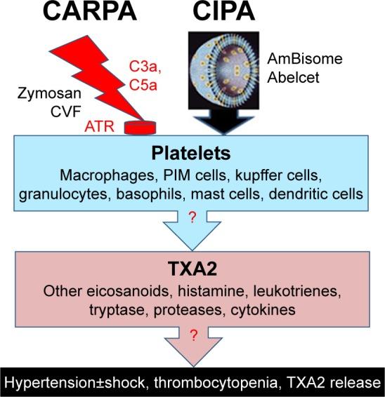 https://cdn.ncbi.nlm.nih.gov/pmc/blobs/79ad/6396670/b6ddf4be45e3/ijn-14-1563Fig7.jpg