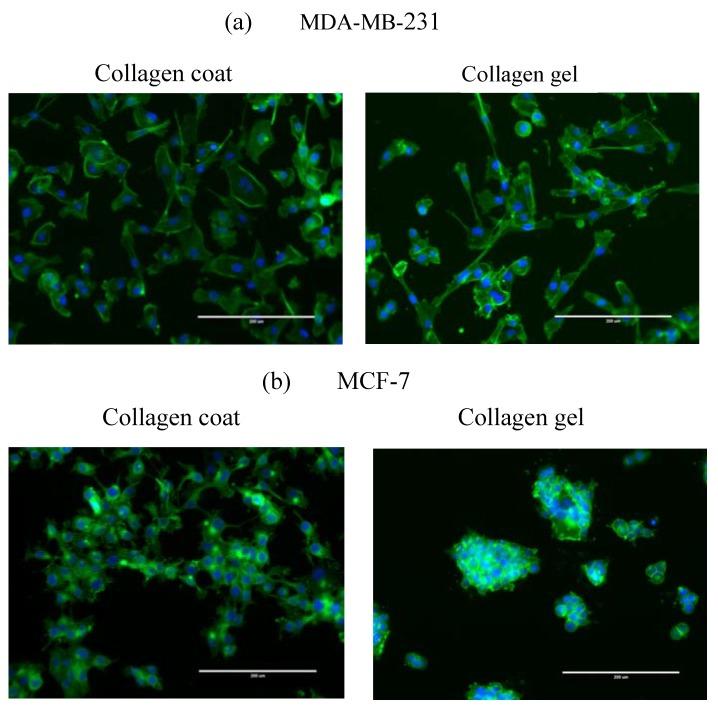 https://cdn.ncbi.nlm.nih.gov/pmc/blobs/79b3/5491999/e49edec51ca7/jfb-08-00018-g001.jpg
