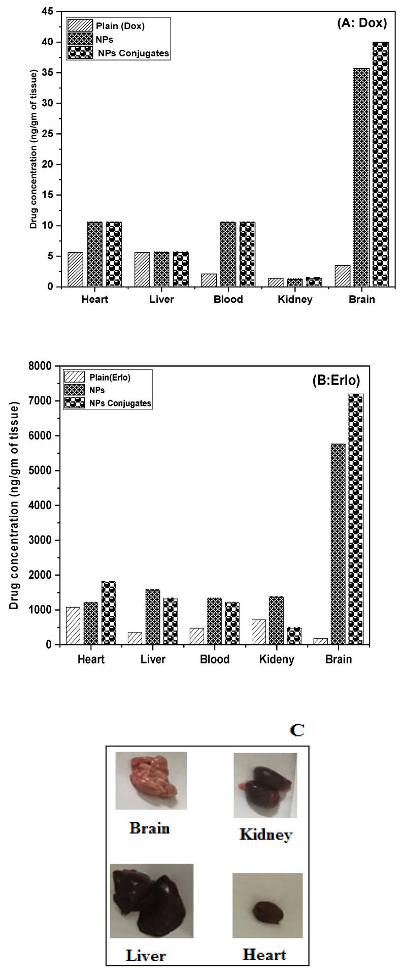 https://cdn.ncbi.nlm.nih.gov/pmc/blobs/79b3/9959140/77c198bf3727/pharmaceuticals-16-00207-g011.jpg