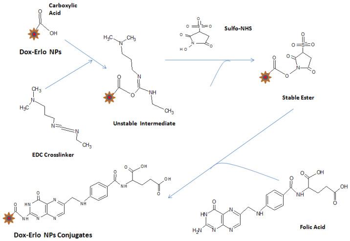 https://cdn.ncbi.nlm.nih.gov/pmc/blobs/79b3/9959140/e0010c48c916/pharmaceuticals-16-00207-g013.jpg