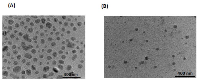 https://cdn.ncbi.nlm.nih.gov/pmc/blobs/79b3/9959140/e104ec1f2762/pharmaceuticals-16-00207-g004.jpg