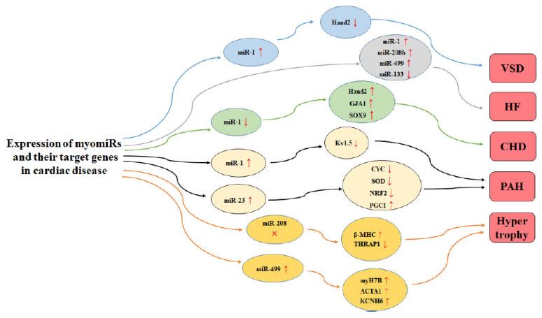 https://cdn.ncbi.nlm.nih.gov/pmc/blobs/79b6/8762156/36c8d7b53c1a/CCR-17-e010621188335_F4.jpg