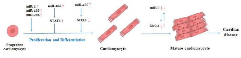 https://cdn.ncbi.nlm.nih.gov/pmc/blobs/79b6/8762156/f70d11506071/CCR-17-e010621188335_F2.jpg