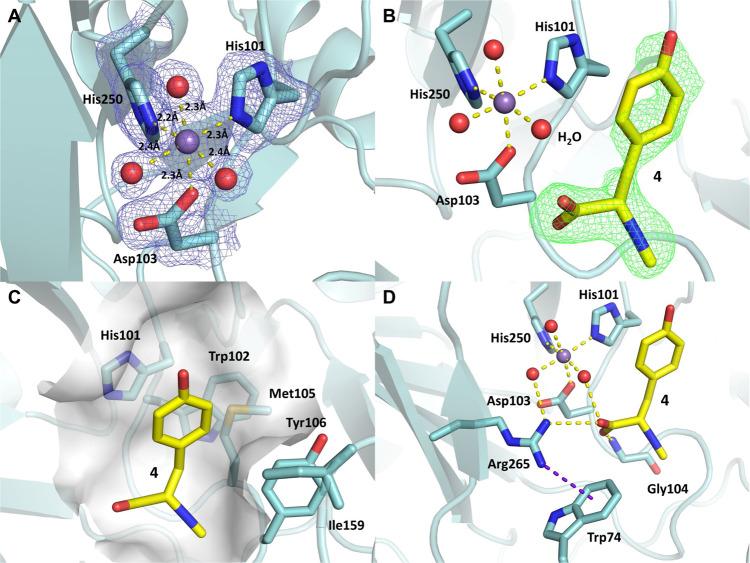 https://cdn.ncbi.nlm.nih.gov/pmc/blobs/79b6/9467999/6f6d8a60744d/41467_2022_32870_Fig4_HTML.jpg