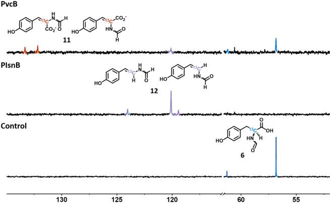 https://cdn.ncbi.nlm.nih.gov/pmc/blobs/79b6/9467999/9ab8a61e22ea/41467_2022_32870_Fig6_HTML.jpg