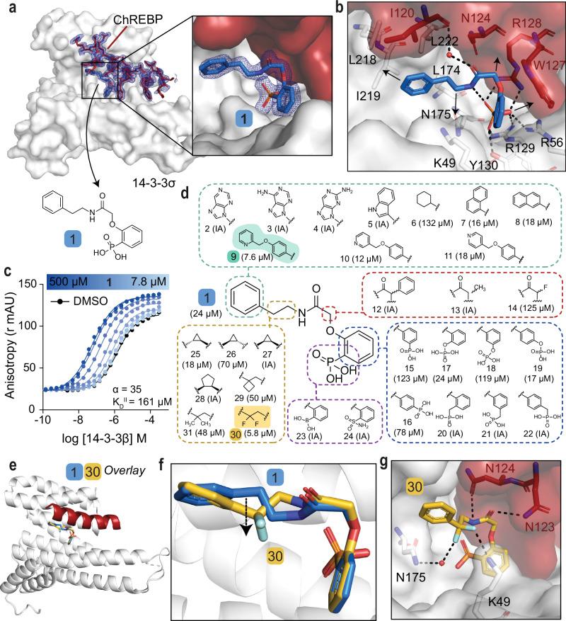 https://cdn.ncbi.nlm.nih.gov/pmc/blobs/79b8/11873037/2d48d0cd8030/41467_2025_57241_Fig2_HTML.jpg