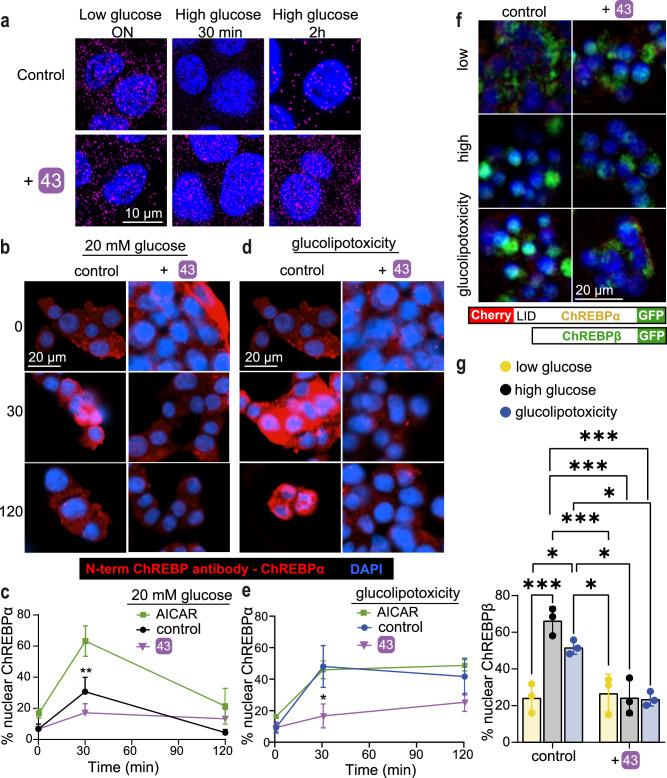 https://cdn.ncbi.nlm.nih.gov/pmc/blobs/79b8/11873037/6b115a5f6f99/41467_2025_57241_Fig5_HTML.jpg