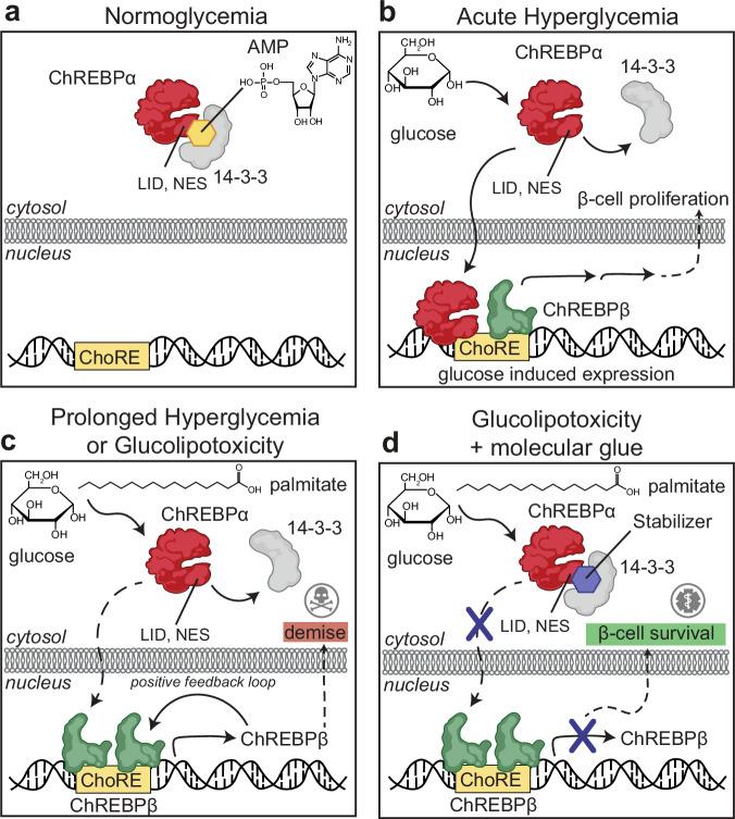 https://cdn.ncbi.nlm.nih.gov/pmc/blobs/79b8/11873037/79f673b4f40e/41467_2025_57241_Fig1_HTML.jpg
