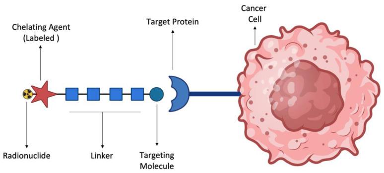 https://cdn.ncbi.nlm.nih.gov/pmc/blobs/79ba/11173192/1485c0ca440f/ijms-25-05954-g004.jpg