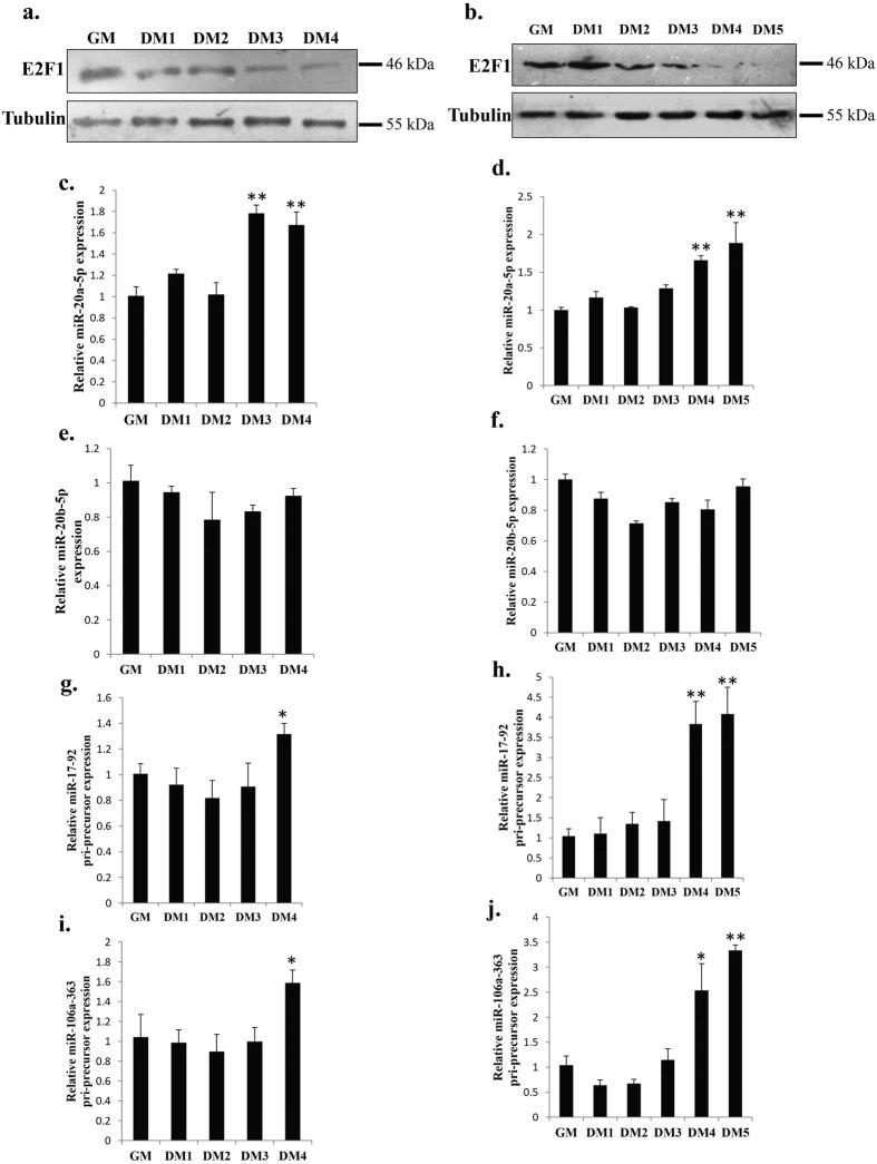 https://cdn.ncbi.nlm.nih.gov/pmc/blobs/79bd/4901305/8253c222aabc/srep27904-f6.jpg