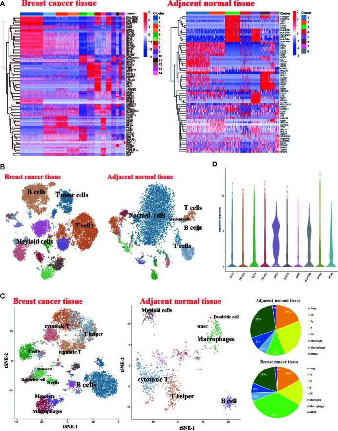 https://cdn.ncbi.nlm.nih.gov/pmc/blobs/79bd/7673447/e6c8f1542c15/fimmu-11-563044-g001.jpg