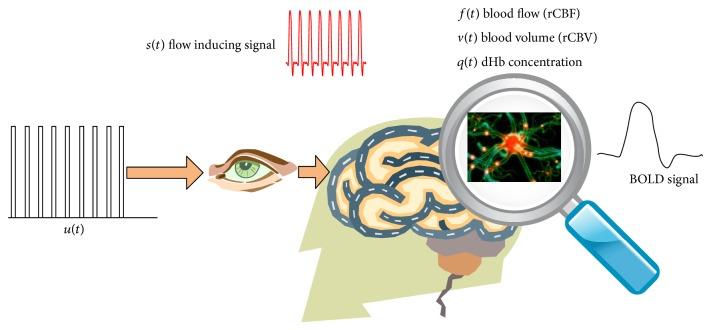 https://cdn.ncbi.nlm.nih.gov/pmc/blobs/79c1/4321086/f0cffeebf013/CMMM2015-389875.001.jpg