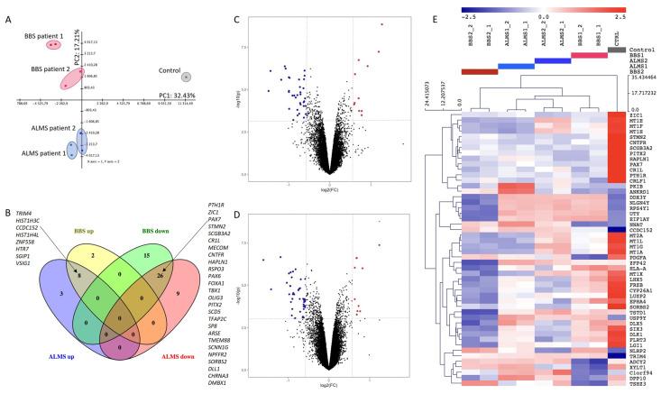 https://cdn.ncbi.nlm.nih.gov/pmc/blobs/79c1/9777683/5d34e11cad08/genes-13-02370-g002.jpg