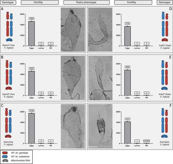 https://cdn.ncbi.nlm.nih.gov/pmc/blobs/79c2/11603187/0e925dd6d39c/41598_2024_80887_Fig5_HTML.jpg