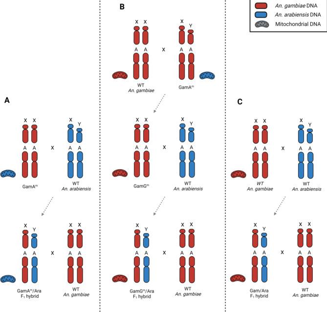 https://cdn.ncbi.nlm.nih.gov/pmc/blobs/79c2/11603187/40b5969c7377/41598_2024_80887_Fig3_HTML.jpg