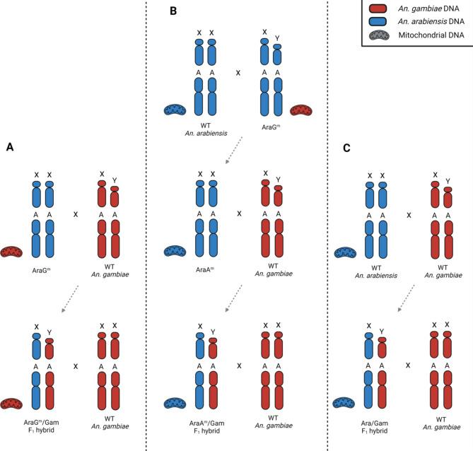 https://cdn.ncbi.nlm.nih.gov/pmc/blobs/79c2/11603187/51d25800f264/41598_2024_80887_Fig4_HTML.jpg