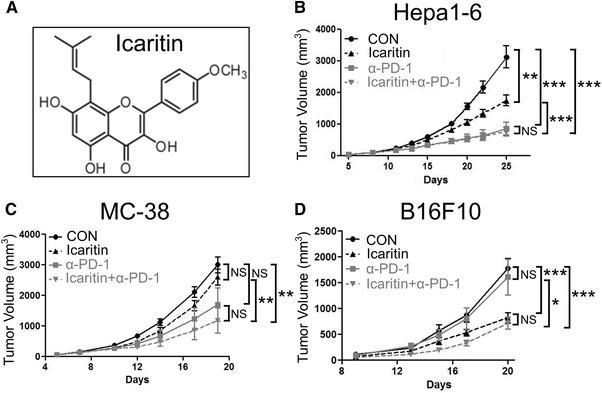 https://cdn.ncbi.nlm.nih.gov/pmc/blobs/79c2/8248075/6fe965e0a2e9/EJI-51-978-g007.jpg