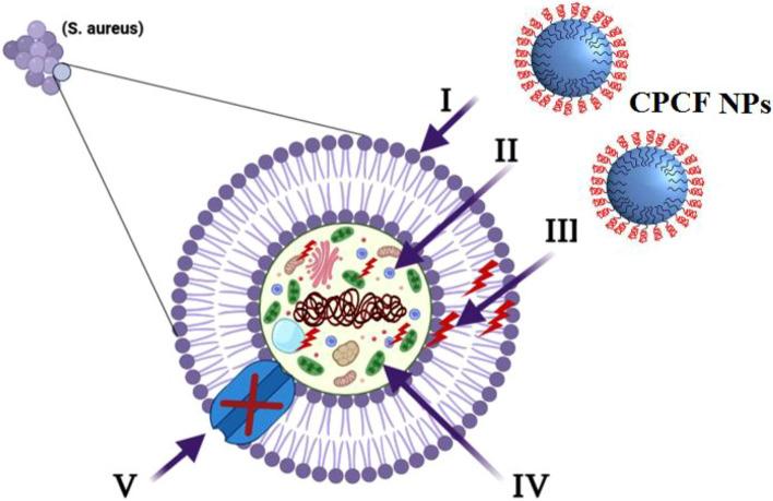 https://cdn.ncbi.nlm.nih.gov/pmc/blobs/79c5/10067836/28d12e6dd757/41598_2023_32323_Fig9_HTML.jpg