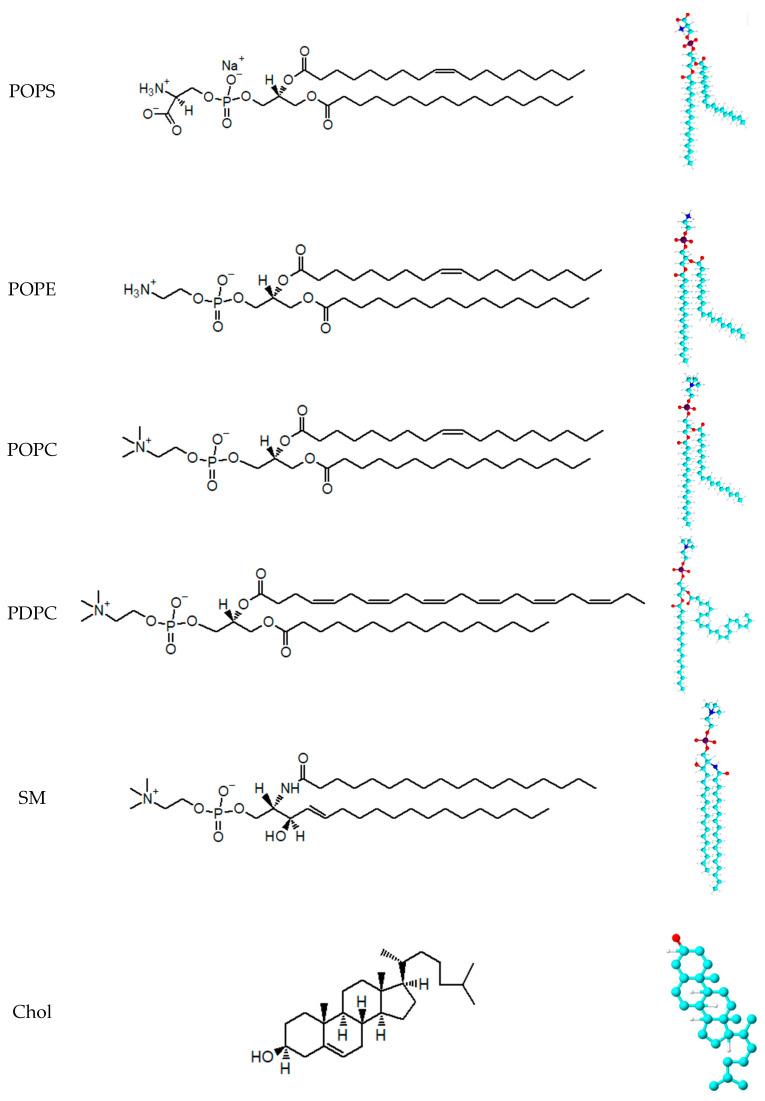 https://cdn.ncbi.nlm.nih.gov/pmc/blobs/79c8/11677824/58a9218d5aad/membranes-14-00256-g001.jpg