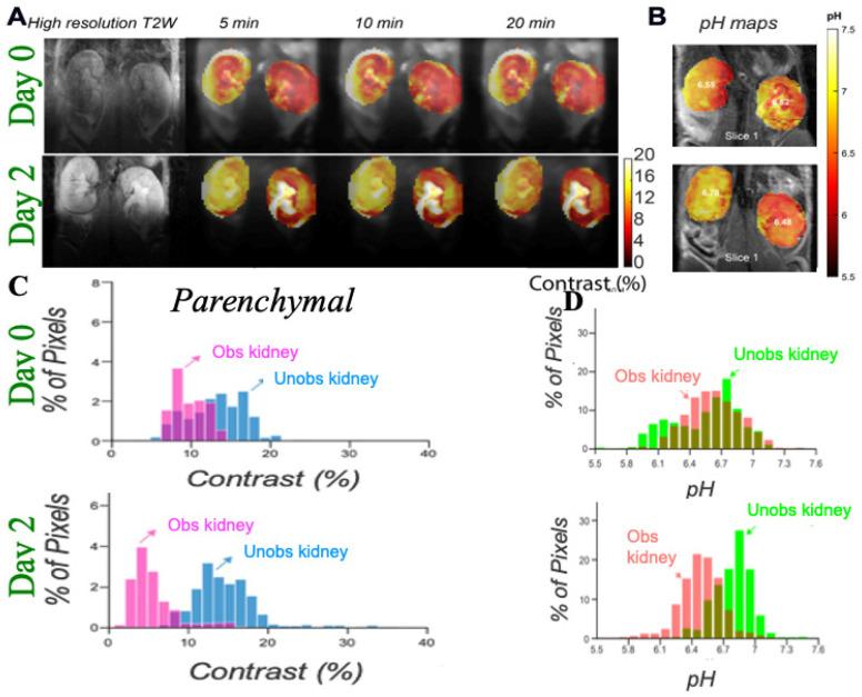 https://cdn.ncbi.nlm.nih.gov/pmc/blobs/79c8/8103243/493ece1619b6/tomography-07-00008-g006.jpg